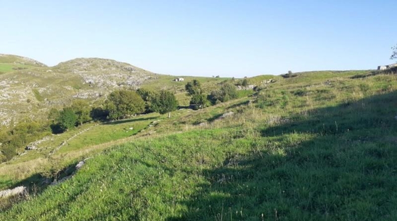 Cantàbria - Arredondo - 14000m2