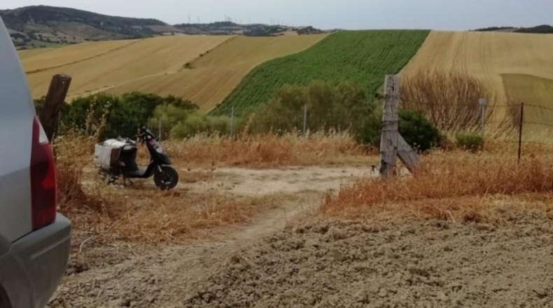 Sevilla - Paradas - 2000m2