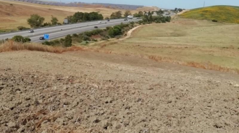 Sevilla - Paradas - 2000m2