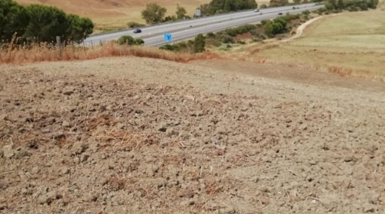 Sevilla - Paradas - 2000m2