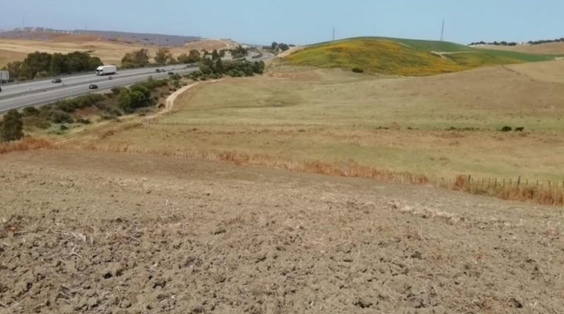 Sevilla - Paradas - 2000m2