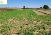 Terreno no urbanizable en venta en la España, Zamora, ref: TR323628 foto