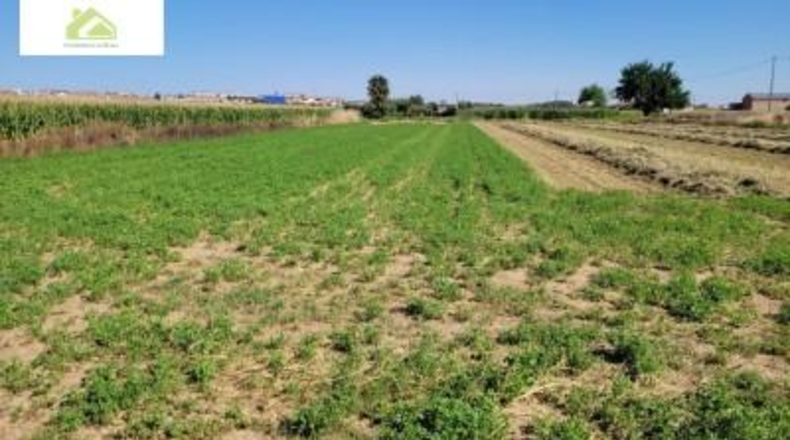 Zamora - Zamora - 5200m2