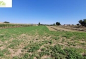 Terreno no urbanizable en venta en la España, Zamora, ref: TR323628 foto