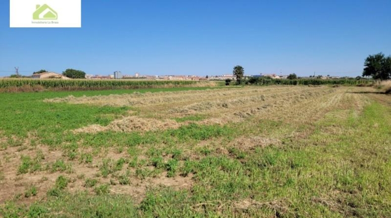 Zamora - Zamora - 5200m2
