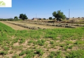 Terreno no urbanizable en venta en la España, Zamora, ref: TR323628 foto