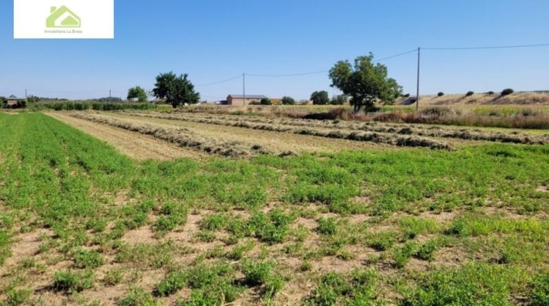 Zamora - Zamora - 5200m2