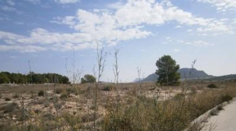Alicante - Salinas - 14000m2
