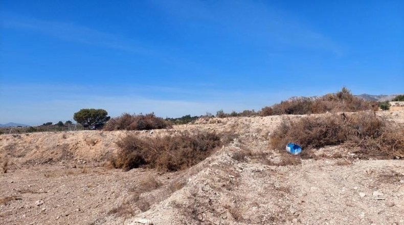 Alicante - Crevillente - 6000m2