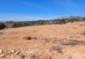 Parcela urbanizable en venta en la España, Crevillente, ref: TR122391 foto