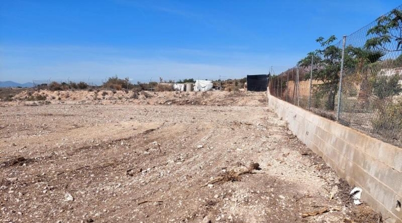 Alicante - Crevillente - 6000m2