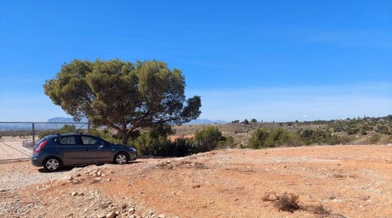 Alicante - Crevillente - 6000m2