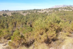 Foto 13