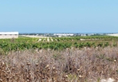 Parcel·la urbanitzable en venda a la España, Sanlúcar de Barrameda, ref.: TR122706 foto