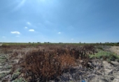 Parcel·la urbanitzable en venda a la España, Sanlúcar de Barrameda, ref.: TR122706 foto