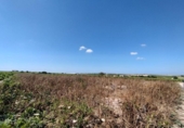 Parcel·la urbanitzable en venda a la España, Sanlúcar de Barrameda, ref.: TR122706 foto