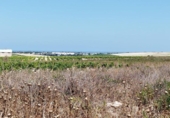 Parcel·la urbanitzable en venda a la España, Sanlúcar de Barrameda, ref.: TR122706 foto
