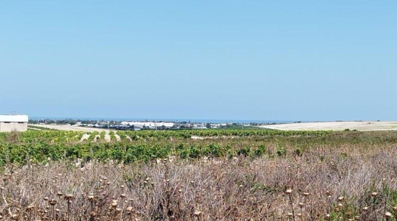 Cádiz - Sanlúcar de Barrameda - 2138m2