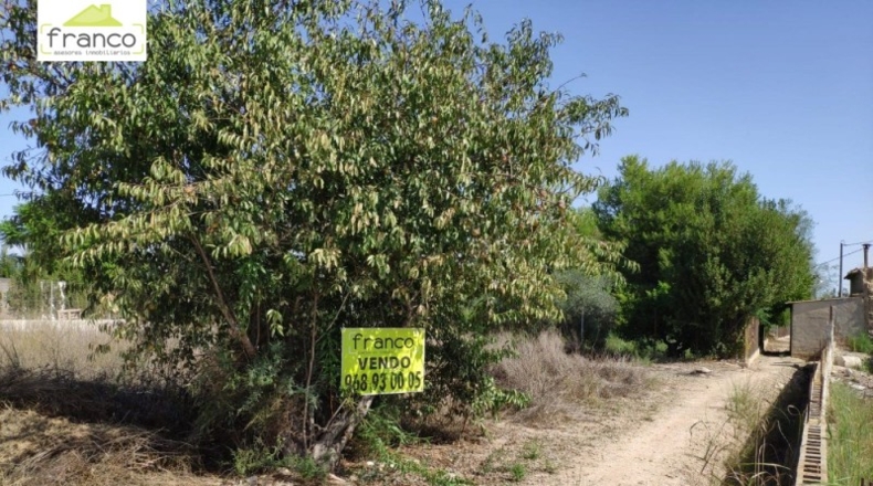 Múrcia - Alguazas - 300m2