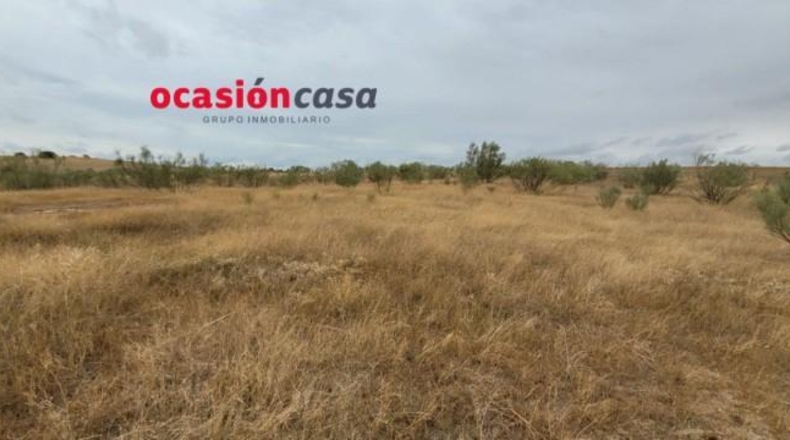 Cordova - Villaralto - 21604m2