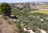 Terreno no urbanizable en venta en la España, Calasparra, ref: TR119432 foto