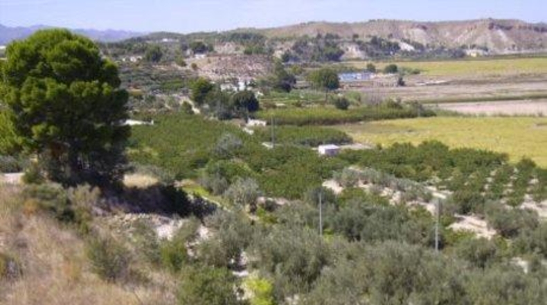 Múrcia - Calasparra - 6708m2