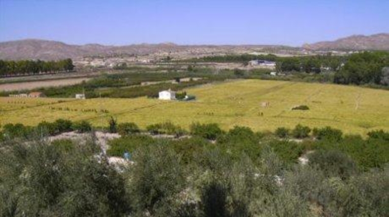 Múrcia - Calasparra - 6708m2