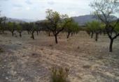 Terreno no urbanizable en venta en la España, Calasparra, ref: TR119455 foto