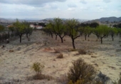 Terreno no urbanizable en venta en la España, Calasparra, ref: TR119455 foto