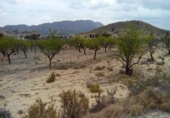 Terreno no urbanizable en venta en la España, Calasparra, ref: TR119455 foto