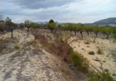 Terreno no urbanizable en venta en la España, Calasparra, ref: TR119455 foto