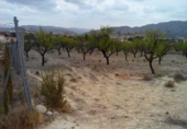 Terreno no urbanizable en venta en la España, Calasparra, ref: TR119455 foto