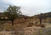 Terreno no urbanizable en venta en la España, Calasparra, ref: TR119455 foto