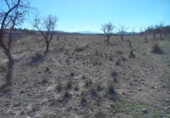Terreno no urbanizable en venta en la España, Calasparra, ref: TR119464 foto