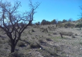 Terreno no urbanizable en venta en la España, Calasparra, ref: TR119464 foto