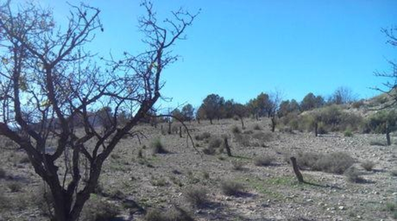 Múrcia - Calasparra - 5300m2