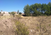 Terreno no urbanizable en venta en la España, Calasparra, ref: TR119484 foto