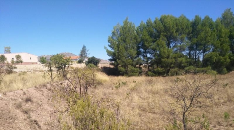 Múrcia - Calasparra - 5000m2