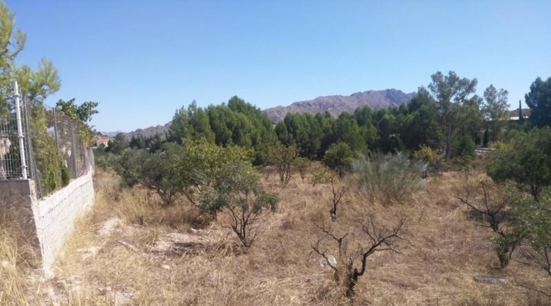 Múrcia - Calasparra - 5000m2