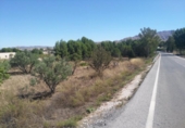 Terreno no urbanizable en venta en la España, Calasparra, ref: TR119484 foto