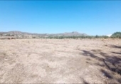 Terreno no urbanizable en venta en la España, Aspe, ref: TR244609 foto