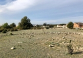 Parcela urbanizable en venta en la España, Sant Jaume dels Domenys, ref: TR239180 foto