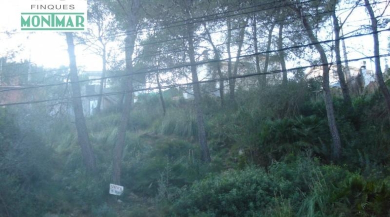 Barcelona - Olivella - 620m2