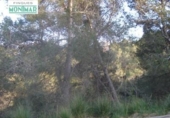 Suelo urbano en venta en la España, Olivella, ref: TR115341 foto