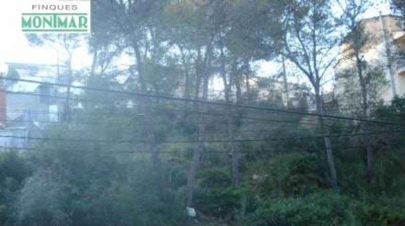 Barcelona - Olivella - 620m2