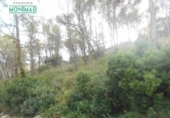 Suelo urbano en venta en la España, Olivella, ref: TR115345 foto
