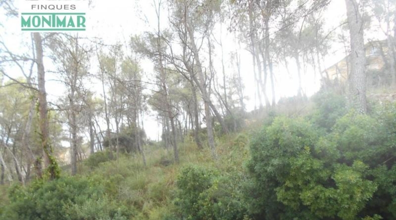 Barcelona - Olivella - 623m2