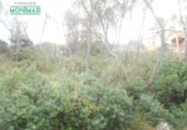 Suelo urbano en venta en la España, Olivella, ref: TR115345 foto