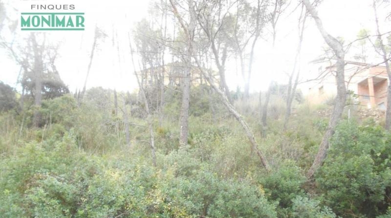 Barcelona - Olivella - 623m2