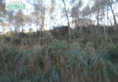 Suelo urbano en venta en la España, Olivella, ref: TR115345 foto